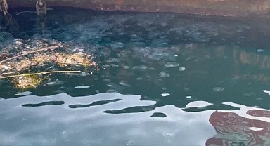 Marmara Denizi'nin sessiz çığlığı: Asıl stok su altında