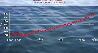 Metan gazı seviyelerindeki artışın sorumlusu ne?