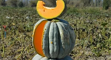 Tükettiğinizde güzelleşmenize yardımcı olacak 18 yiyecek