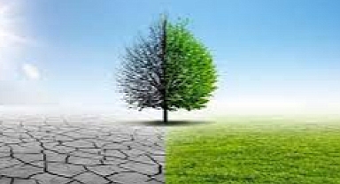 Türkiye'ye Kayıp Zarar Fonu