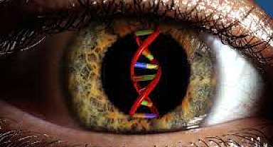 ABD'de 14 yaşındaki gencin ilk kez görmesini sağlayan gen tedavisi görme engellilere umut olabilir