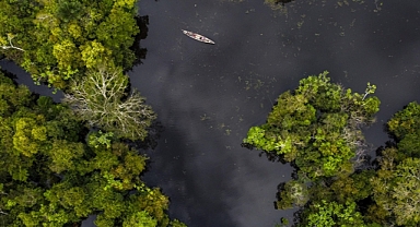 Araştırma: 2023'te Amazonlar'da yaşanan kuraklığın öncül nedeni küresel ısınma