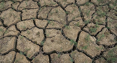 Dünya Ekonomik Forumu ‘Küresel Riskler Raporu‘nu Yayımladı