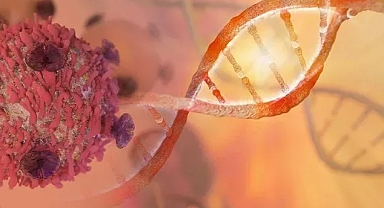 Erken evrede 18 farklı kanseri tespit edebilen tarama testi geliştirildi