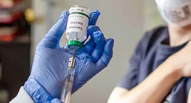 Yarasalardan insanlara bulaşan yeni virüs keşfedildi: Koronavirüs kadar güçlü