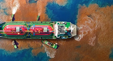 AB Parlamentosu, ekosistem tahribatının en ciddi vakalarını suç saymayı oyladı