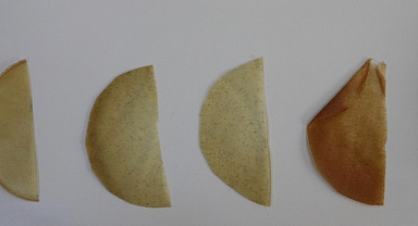 Bal kabağı kabuğundan gıda ve doğa dostu ambalaj üretildi