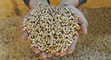 Çevreciler karbon giderme sertifikaları için yeni pazar konusunda alarma geçti