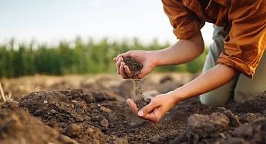 Çiftçiler, Ukrayna savaşından bu yana rekor düzeyde yüksek gübre maliyetlerinden etkilendi: Doğaya dayalı çözümler yardımcı olabilir mi?