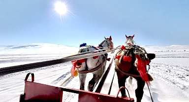 Çıldır Gölü'nde 'atlı kızak'