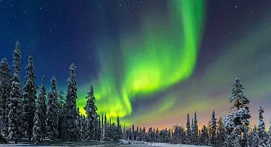 Finlandiya neden dünyanın en mutlu ülkesi?İşte sırrı