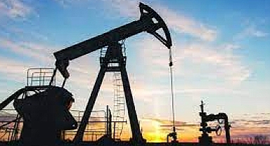 Küresel petrol arzı ocakta günlük 1 milyon 380 bin varil azaldı