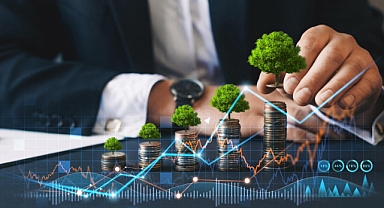 Kurumsal iklim eylemi için sermaye piyasalarından yararlanmak