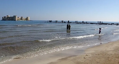 Mersin'de sahilleri kaplayan canlılar hakkında yapılan incelemenin ardından kötü haber geldi. Çok tehlikeli, yetkililer acil harekete geçti. Tek tek topluyorlar
