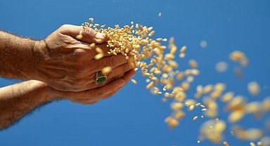 Ocak ayında hububat, bakliyat, yağlı tohumlar ihracatı 1,03 milyar dolar oldu