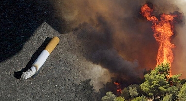 Sigaranın üretimi ağaçları yok ederken izmariti de orman yangınlarını tetikliyor