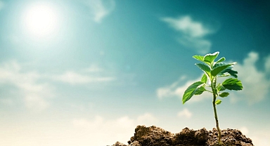 Sürdürülebilirliği basitleştirmek: Amacımızı güçlendirecek 4 kavram