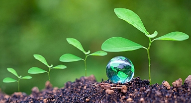 Sürdürülebilirliği kuruluşunuza entegre etmek için 4 kritik adım