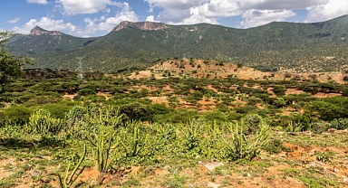 Toprağa geri verme – tek seferde tek bir yiyecek ve içecek ürünü