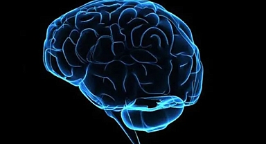 Türk bilim insanlarından önemli buluş. Beyin tümörü tedavisinde çığır açacak.