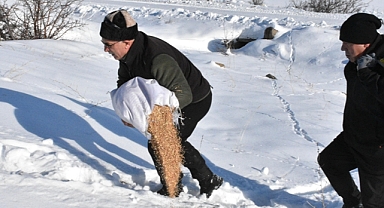 Yaban hayvanlarının aç kalmaması için dondurucu soğukta karlı arazileri aşıyorlar