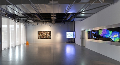 Zamansız Meraklar sergisi İstanbul Modern'de