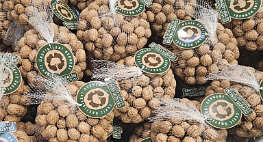 72 bin kilo ceviz çok kısa zamanda tükendi