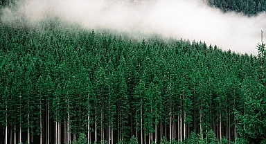 Almanya'dan Rekor Emisyon Azaltımı