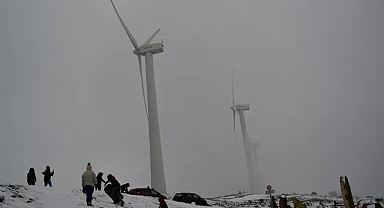 Avusturya, Danimarka, Litvanya: Hangi AB ülkeleri 2035 yılına kadar elektriği karbondan arındırmayı taahhüt etti?