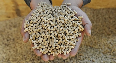  Çevreci kadınların hikayeleri 