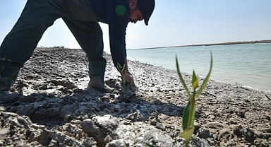 Irak'ta küresel ısınma ve iklim değişikliğine karşı 