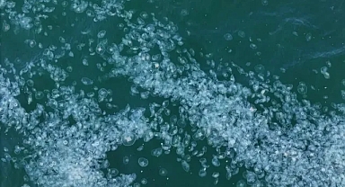 İstanbul açıklarında endişe yaratan görüntü: Sarayburnu’ndan Bakırköy’e kadar uzanıyor