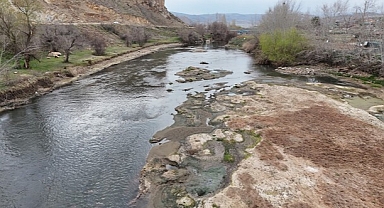 Kızılırmak alarm veriyor: Baraj sularının çekildiği alanda koyunlar otluyor