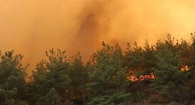 Meksika'da 15 eyalette 58 orman yangını çıktı!
