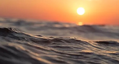 Rekor sıcaklıklar okyanus ekosisteminde değişimlere yol açıyor