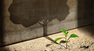 Sürdürülebilirlik iş stratejinizi geliştirin