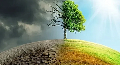 Uluslararası Kuruluşlardan İklim Değişikliğine Karşı İş Birliği