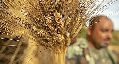 İklim Dostu Çiftliklerden Etkili Stratejiler