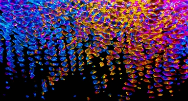 İstanbul Dijital Sanat Festivali'nde ziyaretçiler oyunlaştırılmış sanat deneyimi yaşayacak