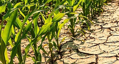 Türkiye'nin İklim Değişikliğiyle Mücadelede Yeni Rota: 2030 Eylem Planı