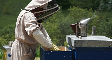 Üst düzey yöneticiliği bırakıp 