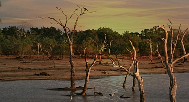 Zimbabve'de kuraklık nedeniyle ulusal afet ilan edildi