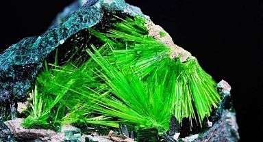 ABD, Yerli Nükleer Yakıt Üretimini Artırmak İçin Rusya'dan Uranyum İthalatını Durduruyor