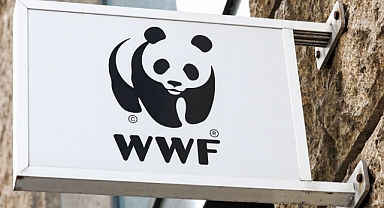 Biyoçeşitlilik Kaybı ve Ekosistem Çöküşü: Küresel Bir Tehdit ve Türkiye'nin Durumu