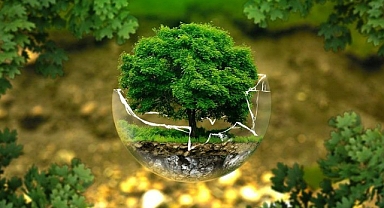 Biyoçeşitlilik Krizinde Eyleme Geçme Zamanı Geldi!