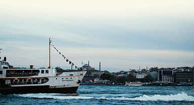 Göçmen kuşlar için önemli bir rota: İstanbul Boğazı