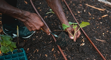 Hindistan'da Tarım Atıklarından Biyometan Üretimi: Sürdürülebilir Enerjiye Yönelik Yenilikçi Bir Yaklaşım