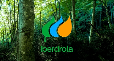 Iberdrola'nın Avangrid Satın Alma Hamlesi: ABD'deki Yenilenebilir Enerji Arenasında Güçlü Adım