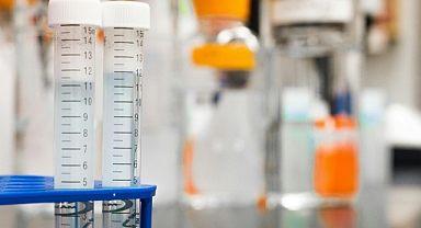 Nanoteknolojik ve Biyolojik Yöntemlerle Petrol Kirliliğine Çözüm