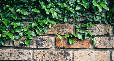 RMIT Mühendisleri, Geri Dönüştürülmüş Malzemelerle Enerji Verimli Tuğlalar Geliştirdi